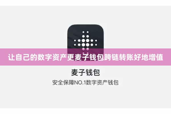 让自己的数字资产更麦子钱包跨链转账好地增值