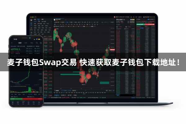 麦子钱包Swap交易 快速获取麦子钱包下载地址！