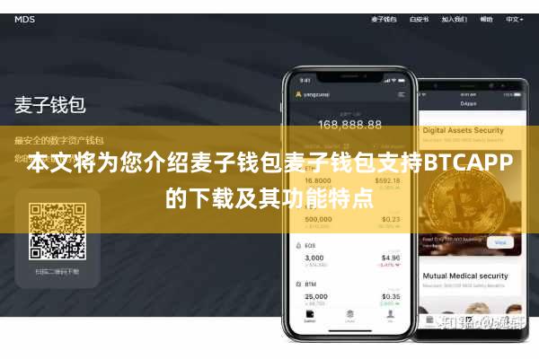 本文将为您介绍麦子钱包麦子钱包支持BTCAPP的下载及其功能特点