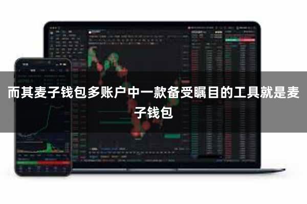 而其麦子钱包多账户中一款备受瞩目的工具就是麦子钱包