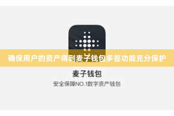 确保用户的资产得到麦子钱包多签功能充分保护