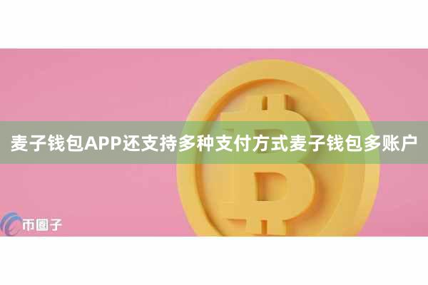 麦子钱包APP还支持多种支付方式麦子钱包多账户