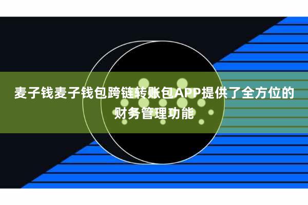 麦子钱麦子钱包跨链转账包APP提供了全方位的财务管理功能