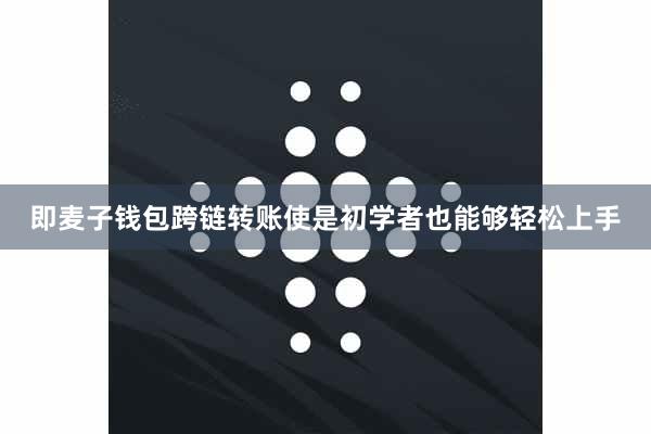 即麦子钱包跨链转账使是初学者也能够轻松上手