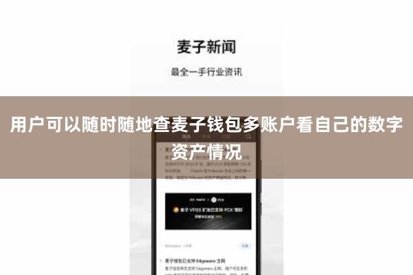 用户可以随时随地查麦子钱包多账户看自己的数字资产情况