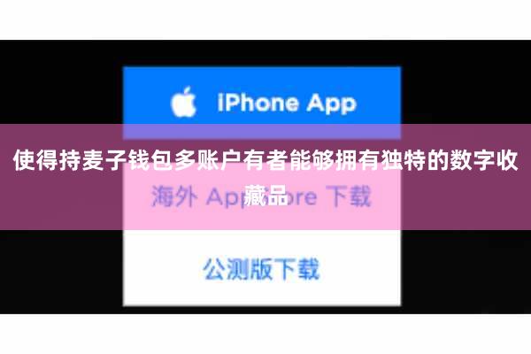 使得持麦子钱包多账户有者能够拥有独特的数字收藏品