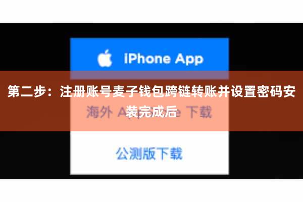 第二步：注册账号麦子钱包跨链转账并设置密码安装完成后