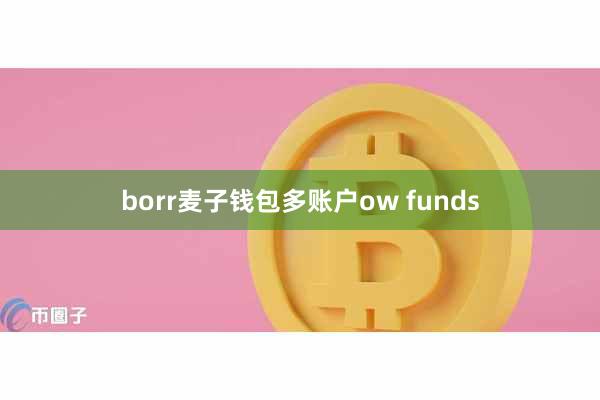 borr麦子钱包多账户ow funds
