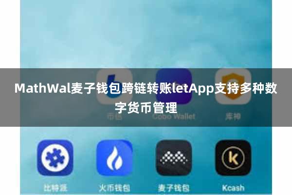 MathWal麦子钱包跨链转账letApp支持多种数字货币管理