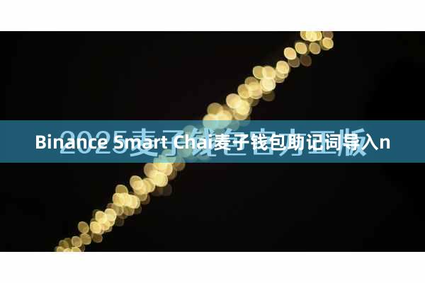 Binance Smart Chai麦子钱包助记词导入n