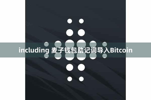 including 麦子钱包助记词导入Bitcoin