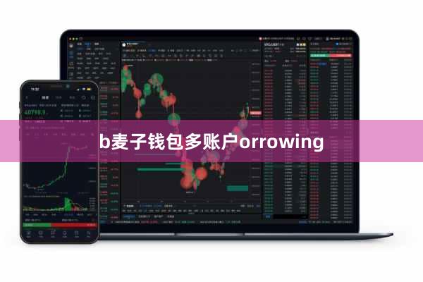 b麦子钱包多账户orrowing