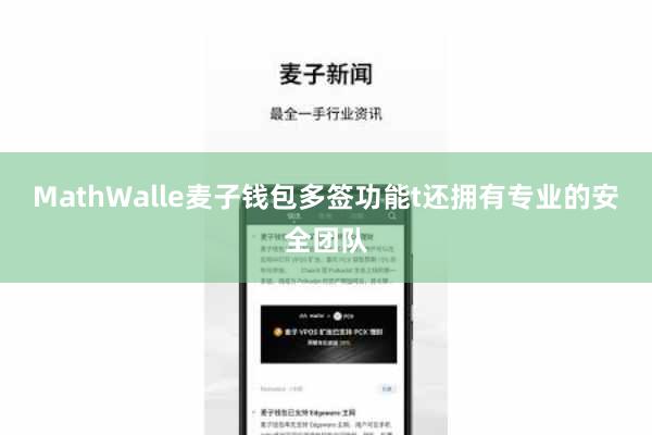 MathWalle麦子钱包多签功能t还拥有专业的安全团队