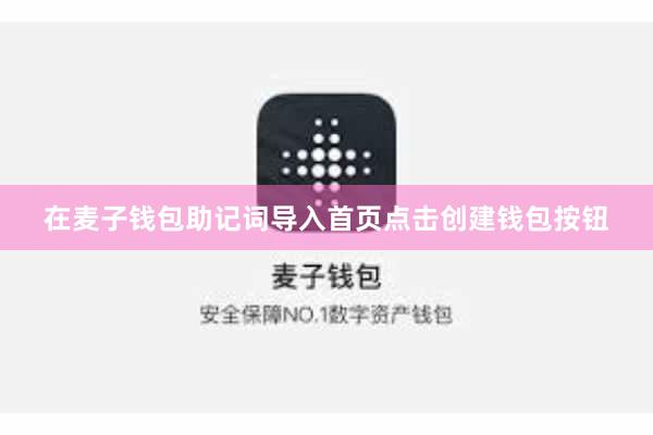 在麦子钱包助记词导入首页点击创建钱包按钮