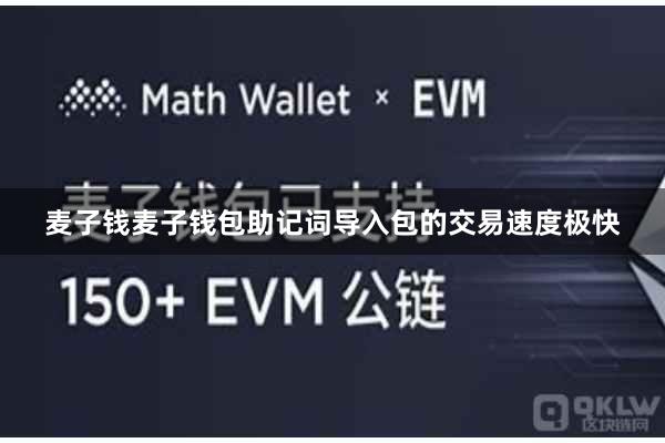 麦子钱麦子钱包助记词导入包的交易速度极快