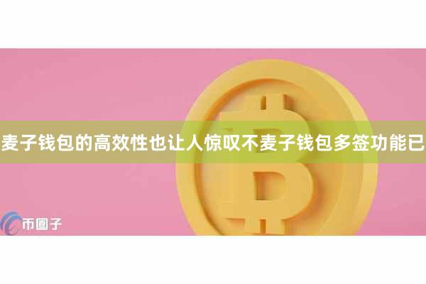 麦子钱包的高效性也让人惊叹不麦子钱包多签功能已