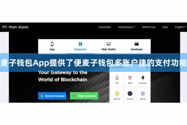 麦子钱包App提供了便麦子钱包多账户捷的支付功能