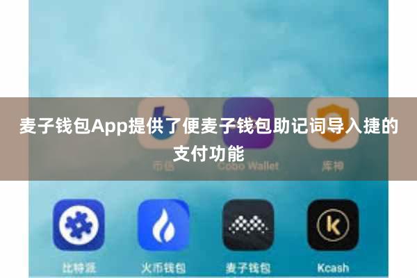 麦子钱包App提供了便麦子钱包助记词导入捷的支付功能