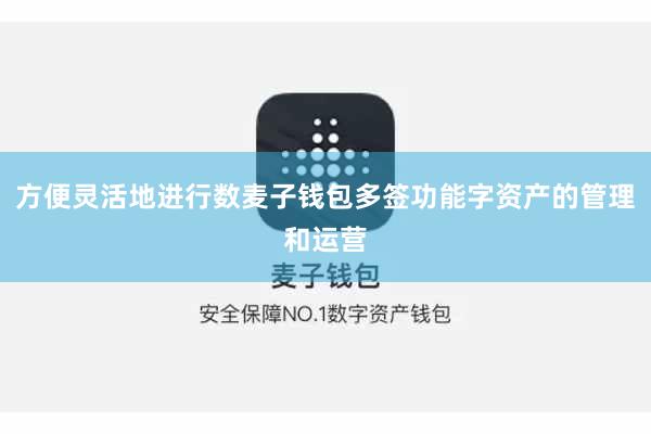 方便灵活地进行数麦子钱包多签功能字资产的管理和运营